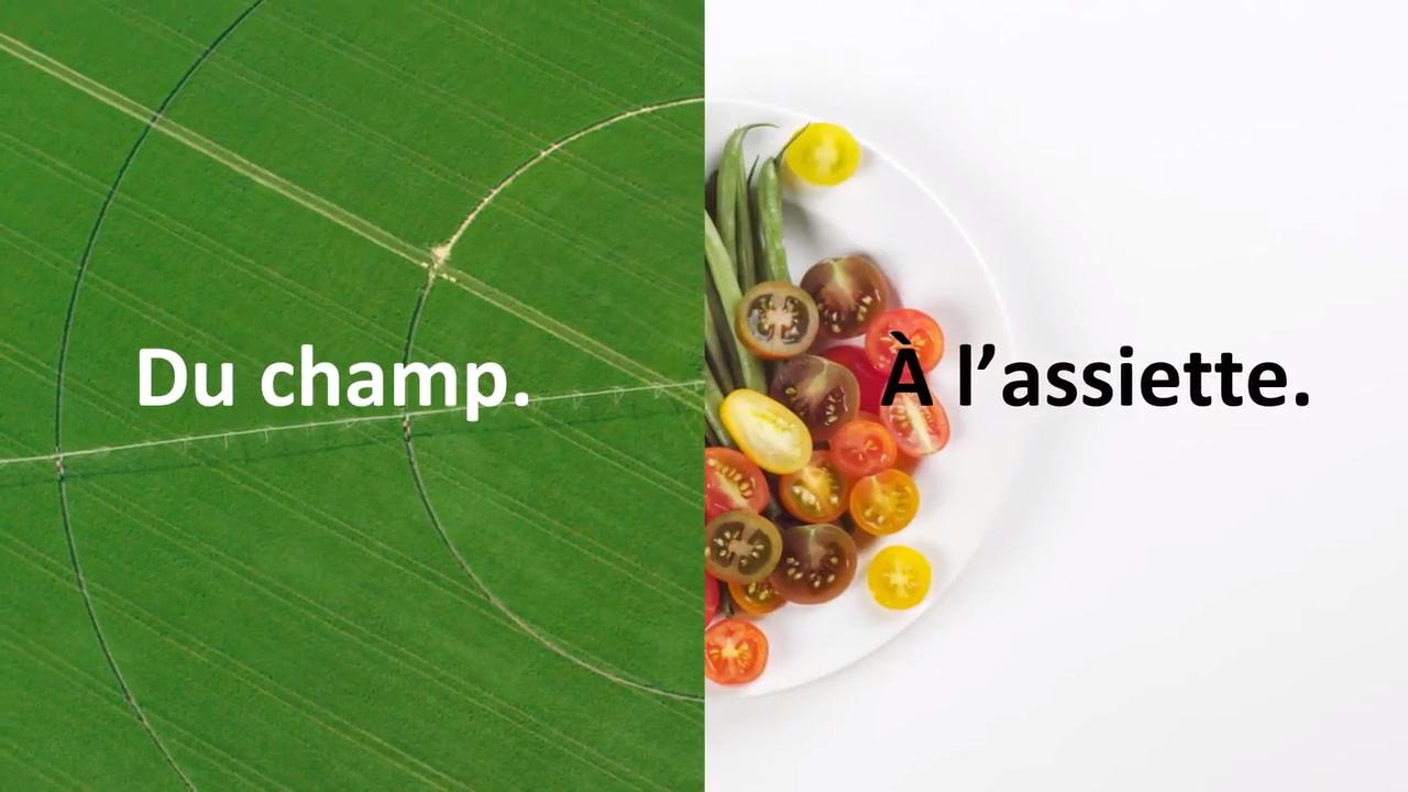 Champs à l'assiette