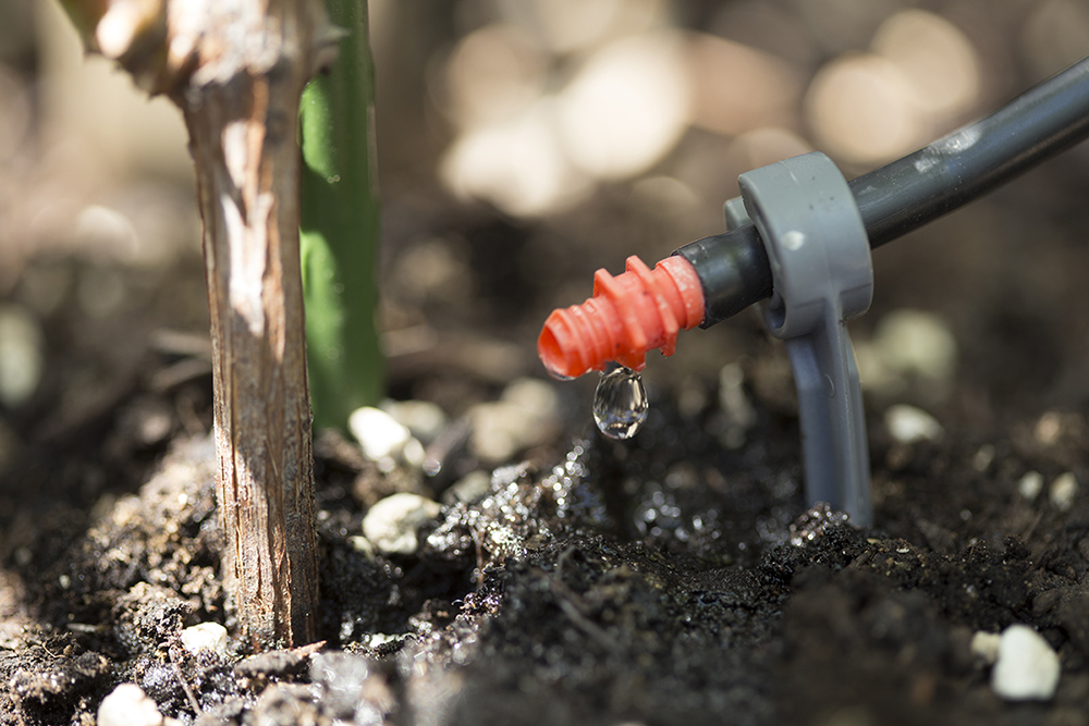 Consommation d'eau raisonnée